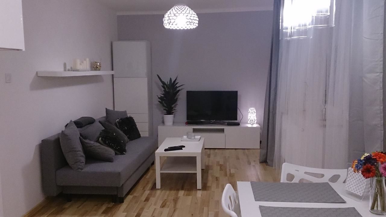 Апартаменты 1 Bedroom City Center Apartment Катовице-4