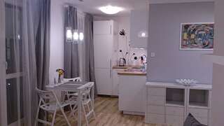 Апартаменты 1 Bedroom City Center Apartment Катовице Апартаменты с 1 спальней-2